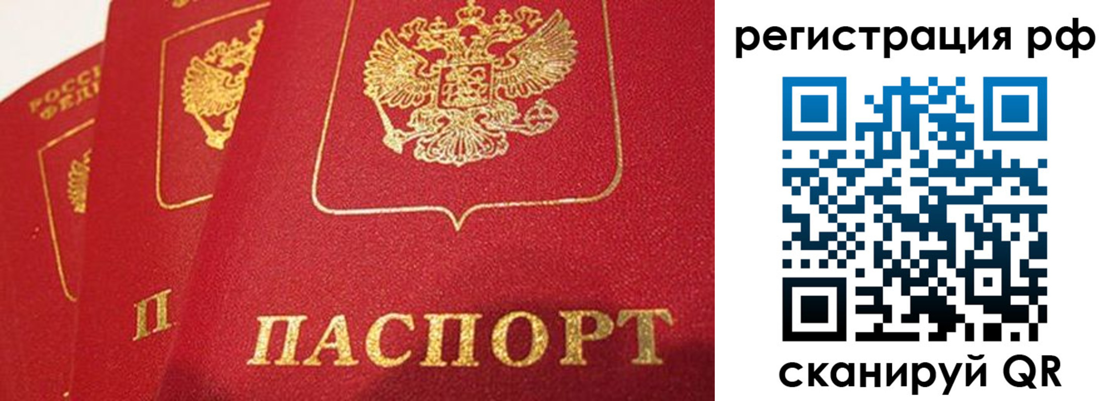 прописка поиск в Ардоне
